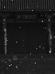 Episode 1 - The Imprisoned Princess: Never Go Back