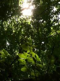 Vingança da Luna - Episode 42