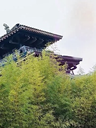 ราชธิดาคืนบัลลังก์ พิชิตคนทรยศ - Episode 2