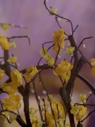 ชายาหมอเทวดา - Episode 20