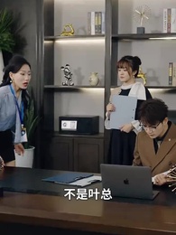 第29集 - 退休十年總裁老媽颯爽歸來