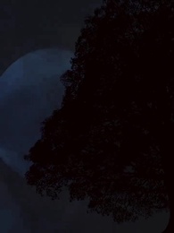 Episode 64 - My Husband's Hidden Desires