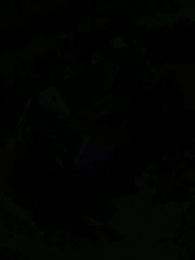 Episodio 80 - La Luna sin Lobo del Rey Alfa