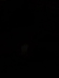 Episodio 25 - La Luna sin Lobo del Rey Alfa