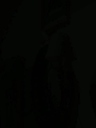 Episodio 45 - La Luna sin Lobo del Rey Alfa