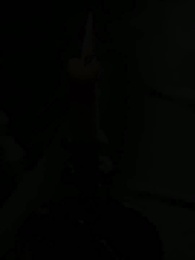 Episodio 39 - La Luna sin Lobo del Rey Alfa