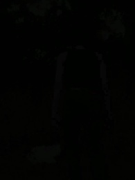 Episodio 58 - La Luna sin Lobo del Rey Alfa