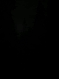 La Luna sin Lobo del Rey Alfa - Episode 2