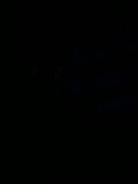 Episodio 54 - La Luna sin Lobo del Rey Alfa