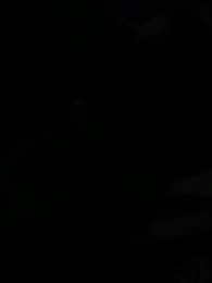 Episodio 70 - La Luna sin Lobo del Rey Alfa