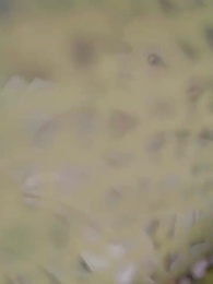 ตอนที่ 38 - พระชายาวังเย็นผู้เก่งกาจ