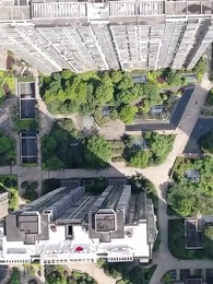 第5集 - 禁慾顧總帶崽搶婚