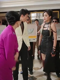 The Phoenix Master - Episode 9