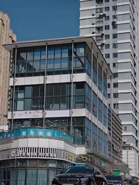 第53集 - 禁慾顧總帶崽搶婚