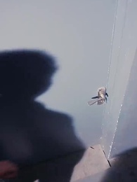 Episode 50 - The Phoenix Master