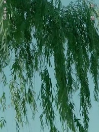 第80集 - 北海人皇