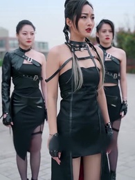 The Phoenix Master - Episode 4