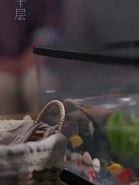 第26集 - 緣來不晚