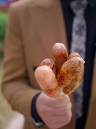 The Phoenix Master - Episode 45