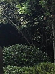 แผนรักมัดใจเธอ - Episode 95