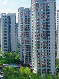 第4集 - 只願卿卿意逍遙