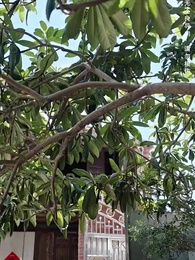 第5集 - 好人,一定有好報!