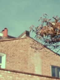 Accidentally Married To Secret Billionaire - Episode 18