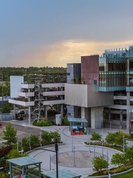 Episodio 24 - Ha vuelto mi esposa muerta