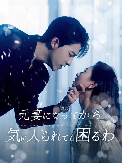 元妻になってから気に入られても困るわ