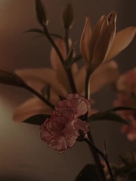 Accidentally Married To Secret Billionaire - Episode 14