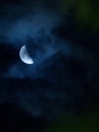 第79集 - 這個女將軍她野翻了