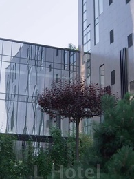 Episode 8 - Don't Fall in Love with Me, Husband