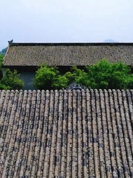 這個女將軍她野翻了 - Episode 56