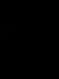 龍ノ心 - Episode 7