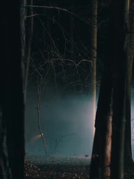 Alpha Revenge: Wolf King and His Human Luna - Episode 39