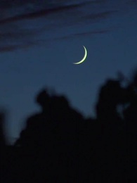 Episode 27 - Alpha Revenge: Wolf King and His Human Luna