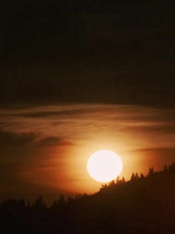 Alpha Revenge: Wolf King and His Human Luna - Episode 31