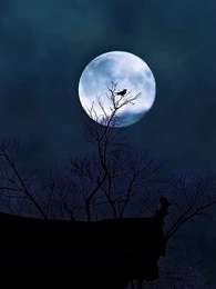 衣錦不還鄉 - Episode 1