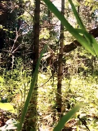 Episode 34 - Das sich immer vermissende Paar