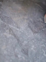 第2話 - 離婚された貴婦人