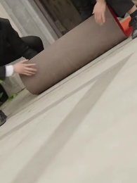 Episodio 12 - La Señorita en el mundo del Espectáculo