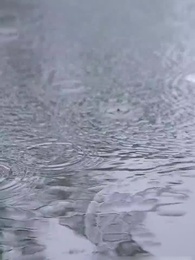 Husband Exchange: Marry That Hidden CEO - Episode 18