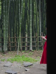 気練期3000層 女帝を弟子にした - Episode 7