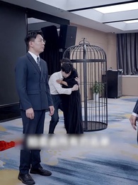 Tập 33 - Phu Nhân, Sếp Lại Trốn Mất Rồi!