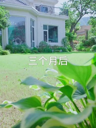 第2話 - 復讐の旅：ボスとともに行く