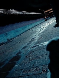 第55集 - 相思入骨不識卿