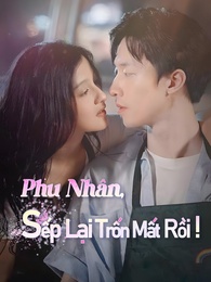 Phu Nhân, Sếp Lại Trốn Mất Rồi!