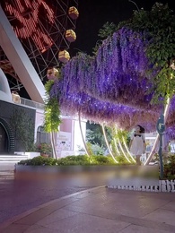 Phu Nhân, Sếp Lại Trốn Mất Rồi! - Episode 22