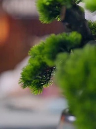 Crush on the Girl Who Fell to Kingdom - Episode 5