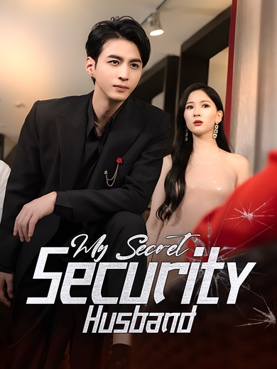 My Secret Security Husband